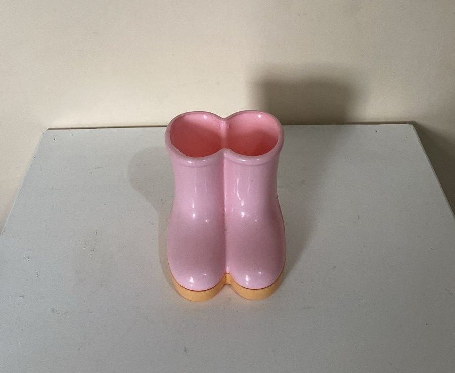 Botinha Rosa - Amanda Rocha de Azevedo