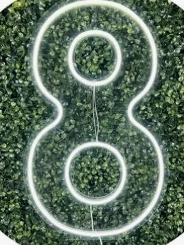 Número 8 de Led    - Amanda Rocha de Azevedo