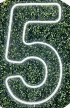 Número 5 de Led   - Amanda Rocha de Azevedo