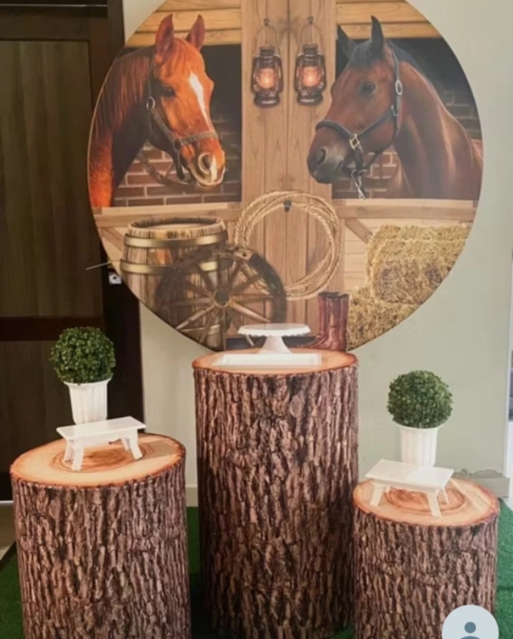 Cavalo  - Vitoria locações 