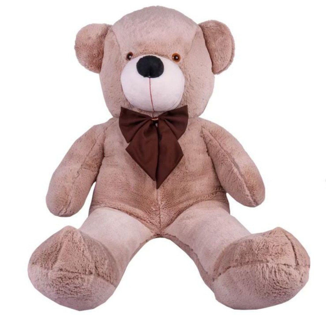 Urso G  - Vitoria locações 