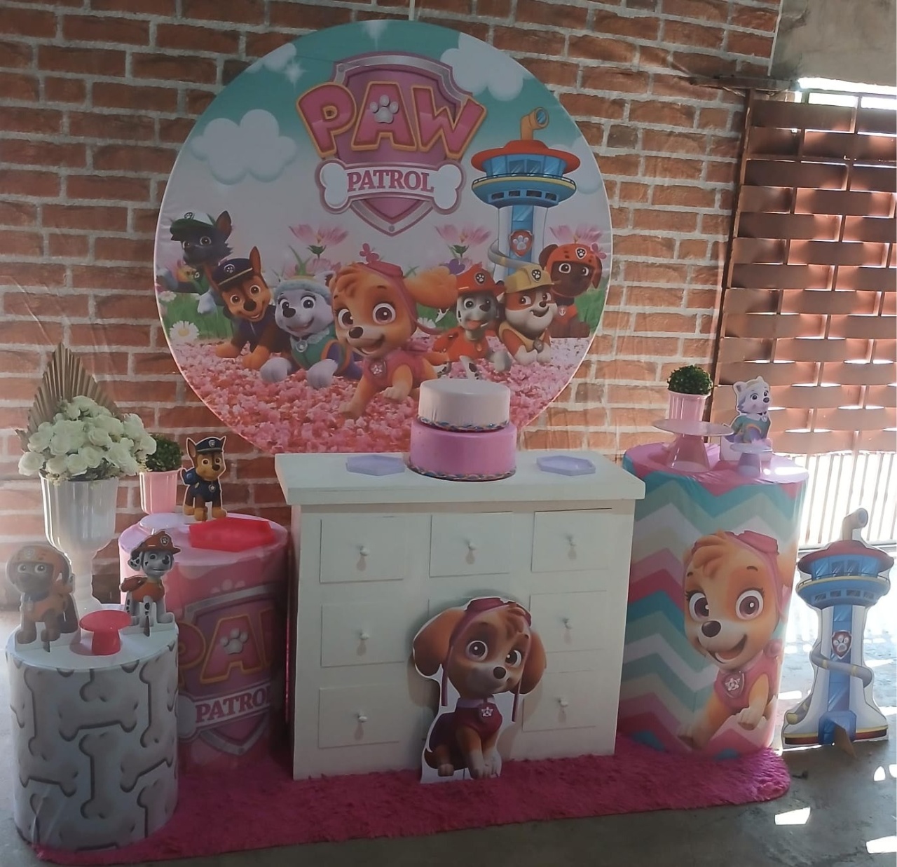 Patrulha Canina Menina  - Vitoria locações 