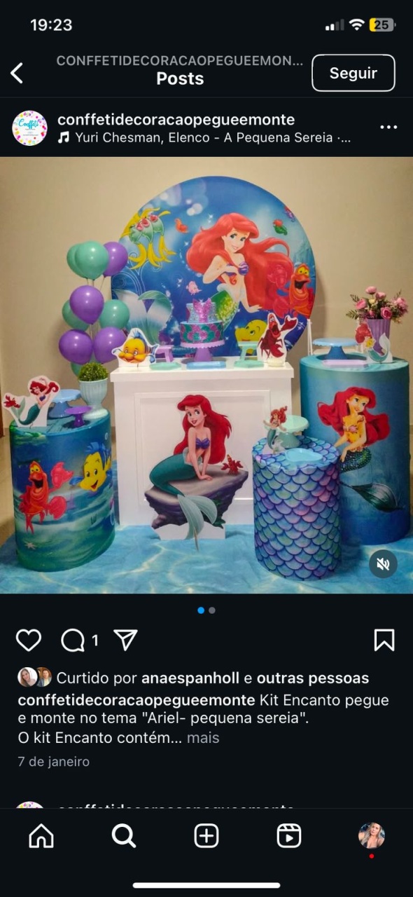 Kit Encanto Ariel  - Pâmela Cristina Gonçalves 
