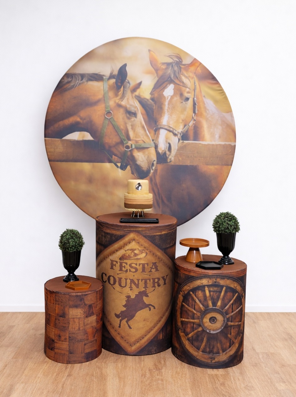 Kit P -  Cavalos Cowntry - JPeventospeguemontee