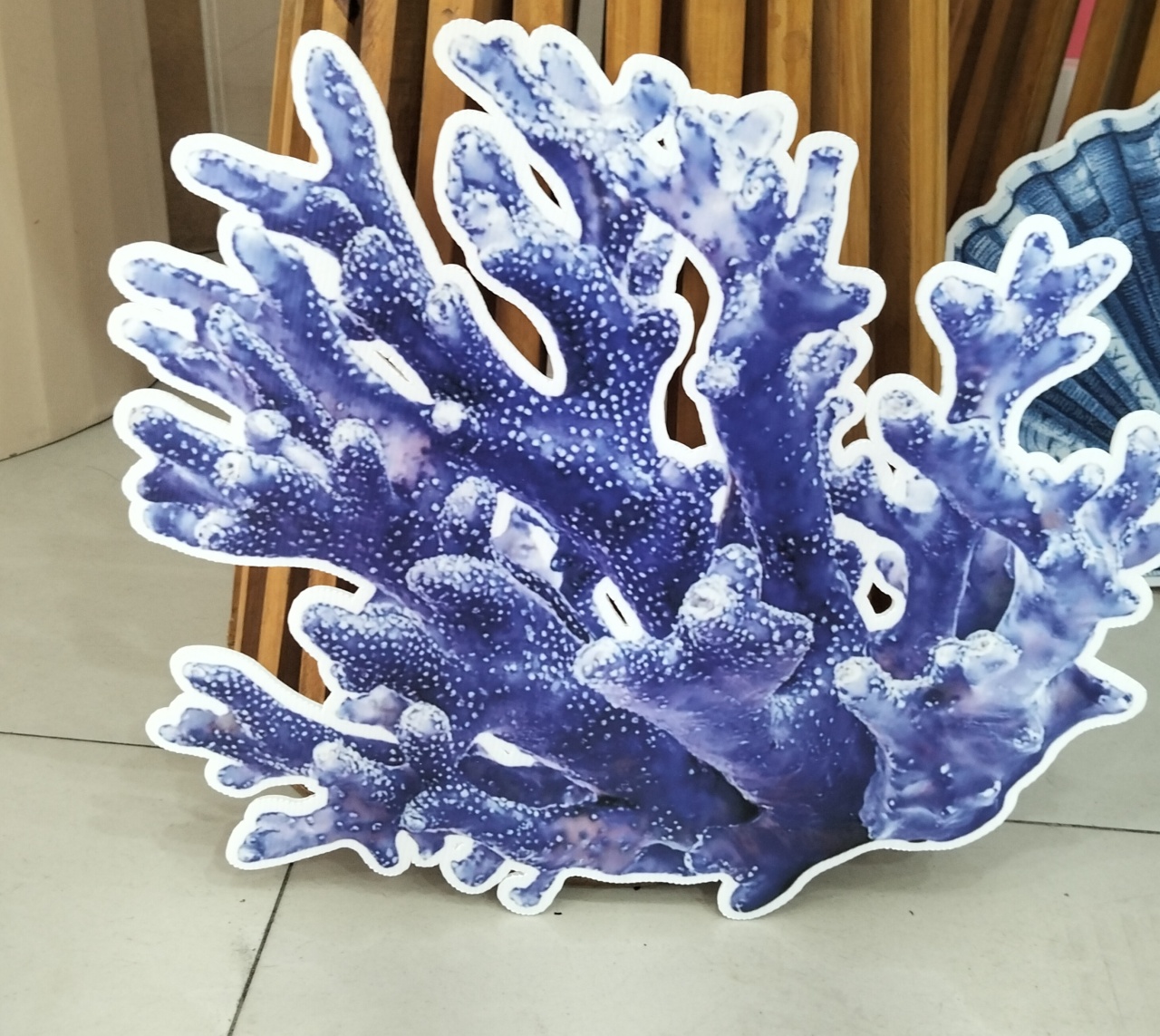 Display Alga - Nbs festas 