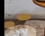 Bandeja M - imagem 2