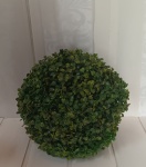  Buxinho - G - imagem 1