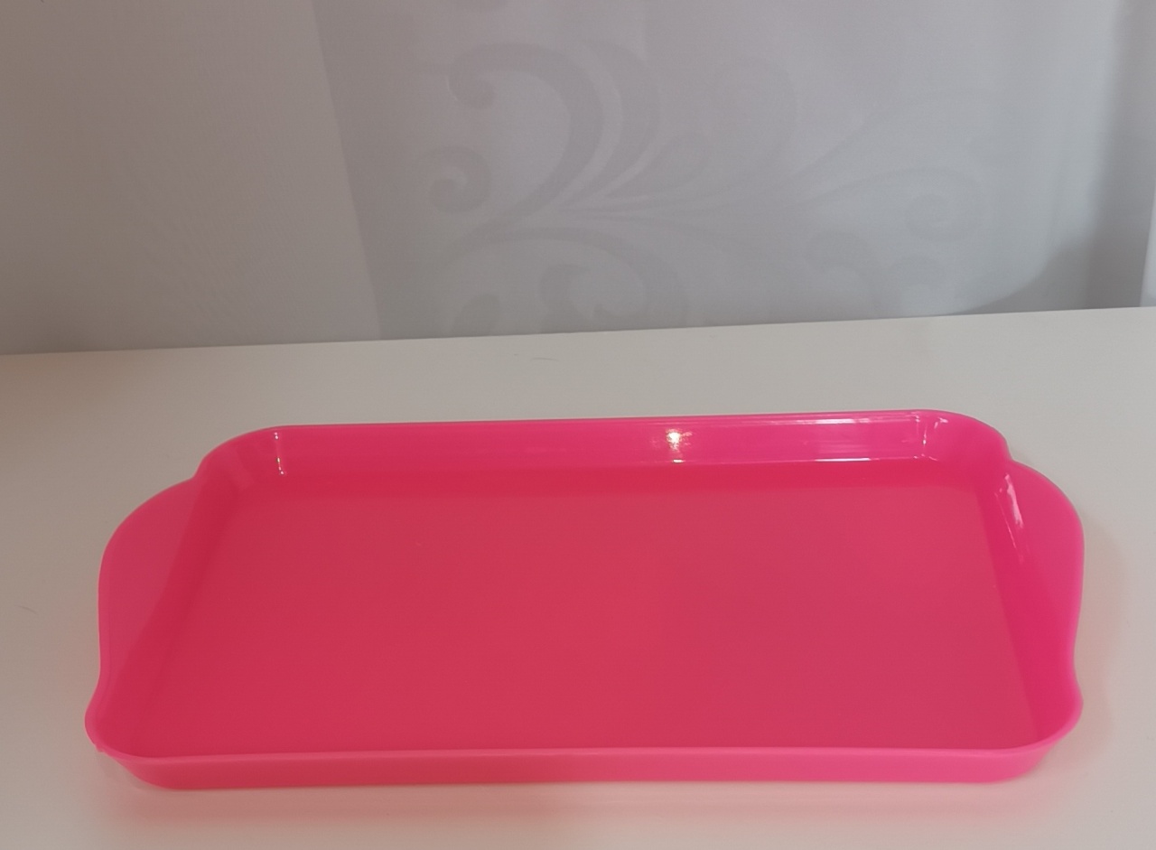 Bandeja - Retangular P Rosa Neon   - CRIS FEST DECOR - PEGUE E MONTE
