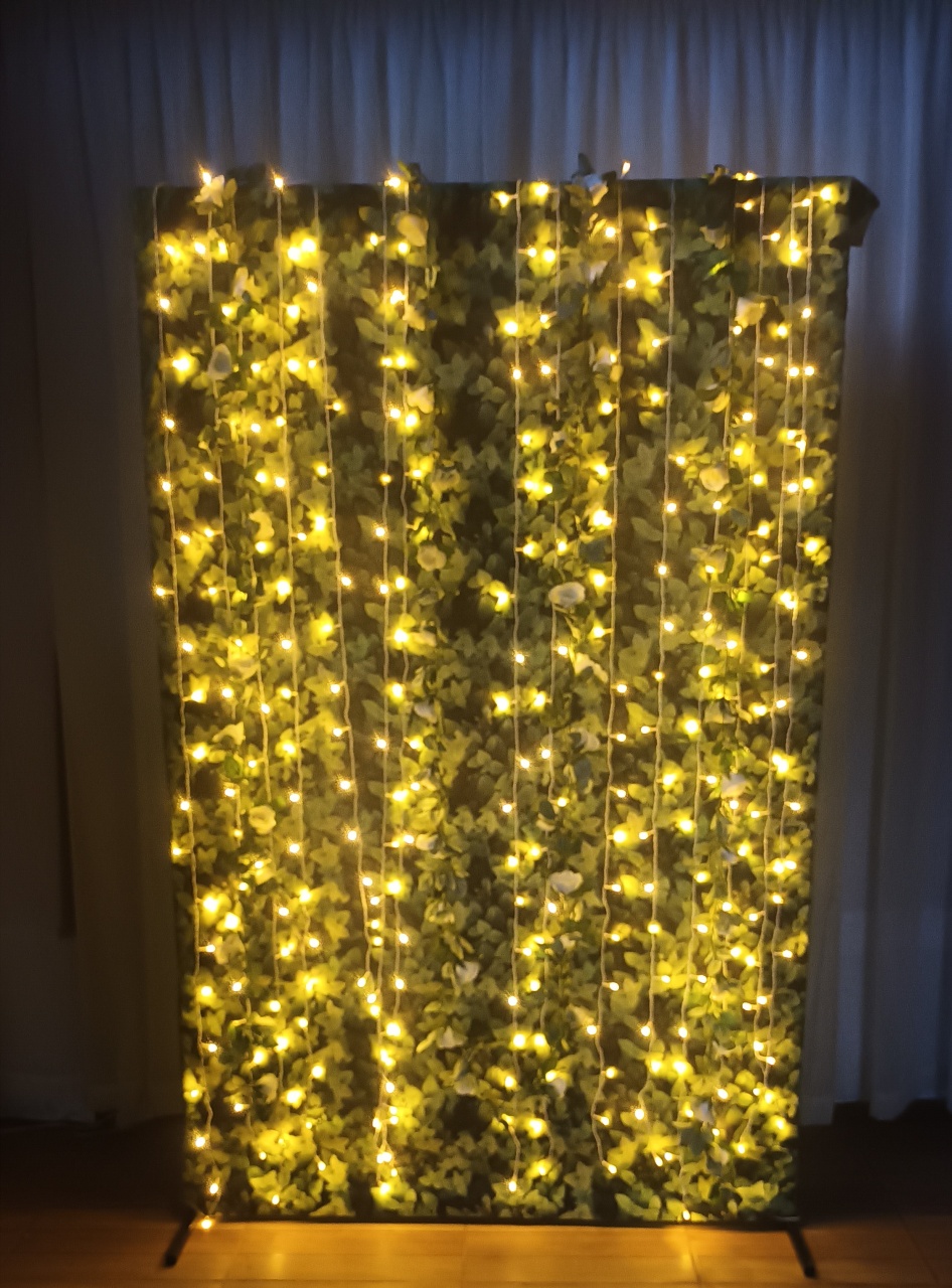 Cortina de Led 3X2 - CRIS FEST DECOR - PEGUE E MONTE