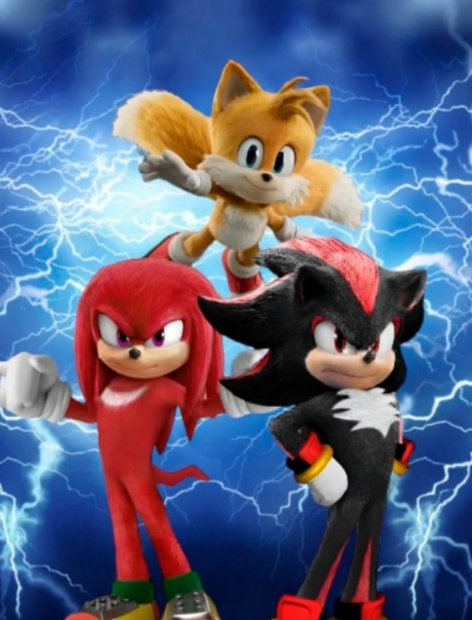 Capa Para Painel Frente Única Personagem Do Sonic 2X1 - Decorart Pegue e monte e Decoração completa