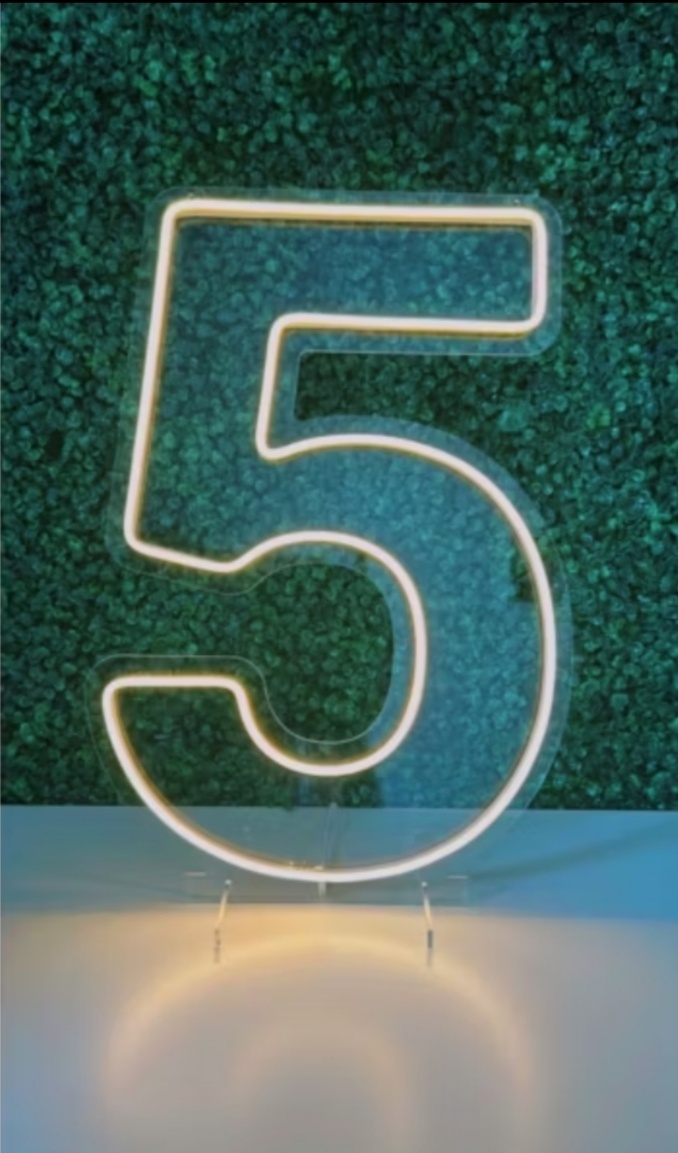Número 5 Led Acrilico Branco Quente 50Cm - Decorart Pegue e monte e Decoração completa