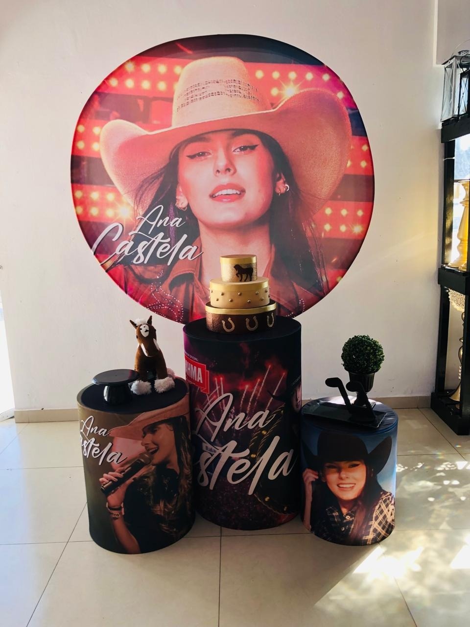 Kit Básico Ana Castela - Arrazo Decorações