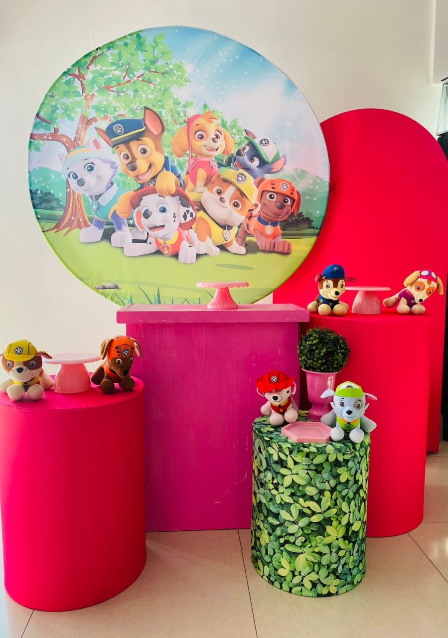 Kit Master Patrulha Canina Menina  - Arrazo Decorações