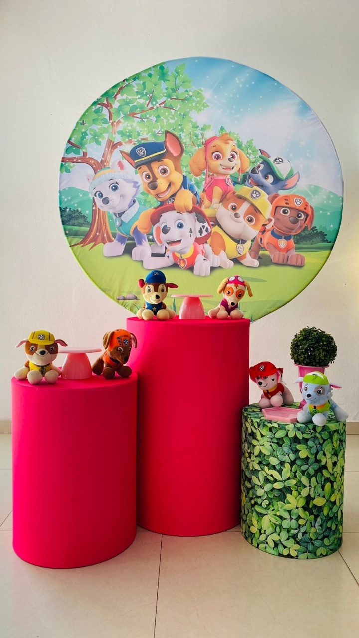 Kit Básico Patrulha Canina Menina  - Arrazo Decorações