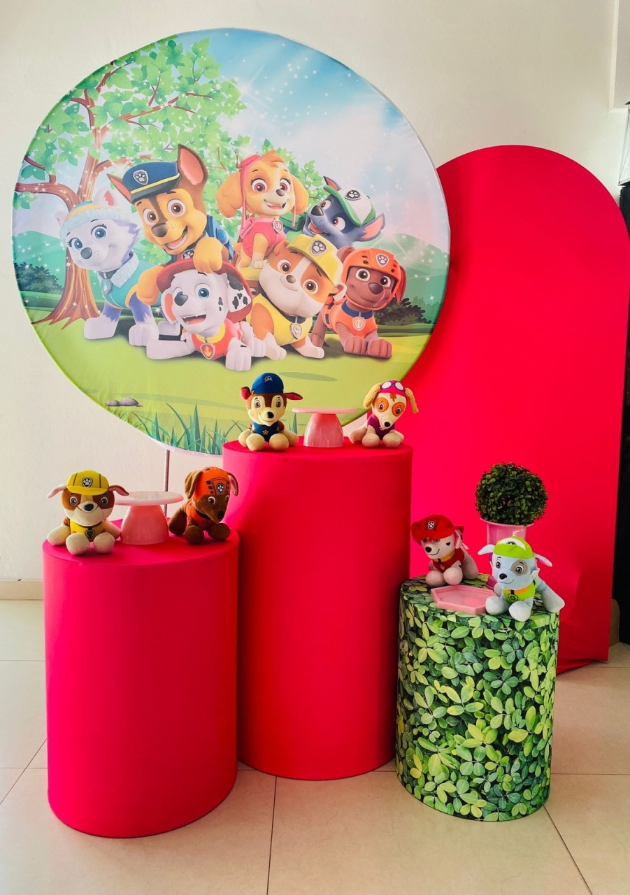 Kit Médio Patrulha Canina Menina  - Arrazo Decorações