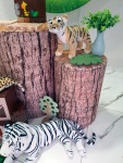 Safari 1 - imagem 4