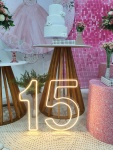 15 Anos Rosa 1 - imagem 3