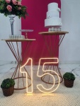 15 Anos Rosa 4 - imagem 3