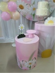 Margaridas 1 - imagem 2