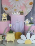 Margaridas - imagem 3