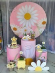 Margaridas - imagem 1