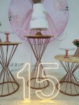 15 Anos Rosa 3 - imagem 3