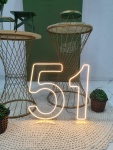 Adulto Verde 1 - imagem 3