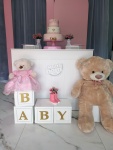Chá de Bebê Rosa - Ursa - imagem 3