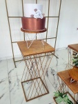 Adulto Dourado 2 - imagem 2
