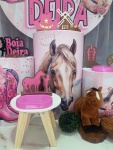 Boiadeira - imagem 3