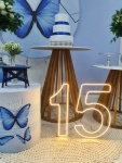15 Anos Azul 1 - imagem 3