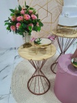 Adulto Rosa 4 - imagem 2