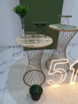 Adulto Verde 1 - imagem 2