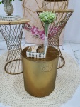 Adulto Rosa 3 - imagem 3