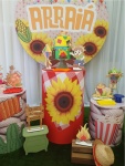 Festa Junina 2 - imagem 3