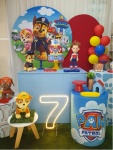Patrulha Canina Menino 3 - imagem 3
