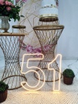Adulto Rosa 2 - imagem 3