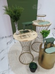 Adulto Verde 2 - imagem 2