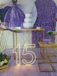 15 Anos Lilás 2 - imagem 3