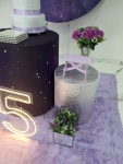 15 Anos Lilás 6 - imagem 4