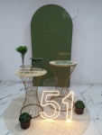 Adulto Verde 1 - imagem 1