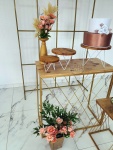 Adulto Dourado 4 - imagem 2