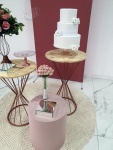 15 Anos Rose 3 - imagem 4
