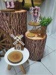 Spirit - imagem 4