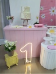 Margaridas 4 - imagem 2
