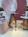 15 Anos Rose 1 - imagem 3