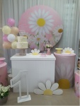Margaridas 2 - imagem 3