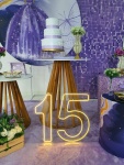 15 Anos Lilás 1 - imagem 3