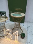 Adulto Verde 1 - imagem 4
