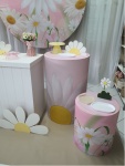 Margaridas 2 - imagem 4